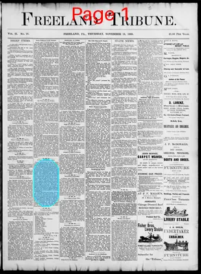 Page thumbnail for Freeland Tribune
