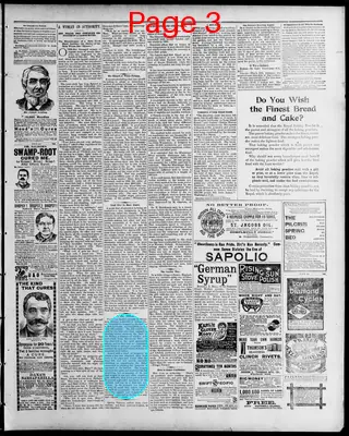 Page thumbnail for Freeland Tribune