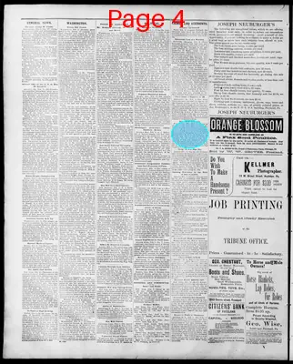 Page thumbnail for Freeland Tribune