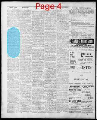 Page thumbnail for Freeland Tribune