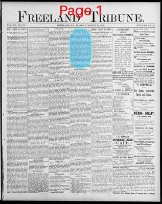 Page thumbnail for Freeland Tribune
