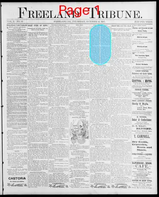 Page thumbnail for Freeland Tribune