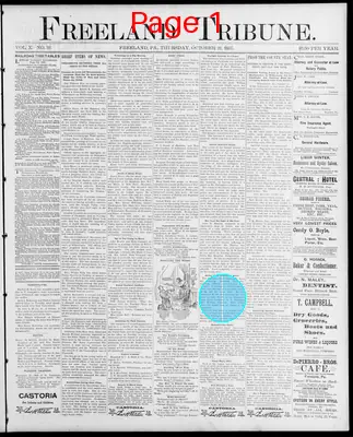Page thumbnail for Freeland Tribune