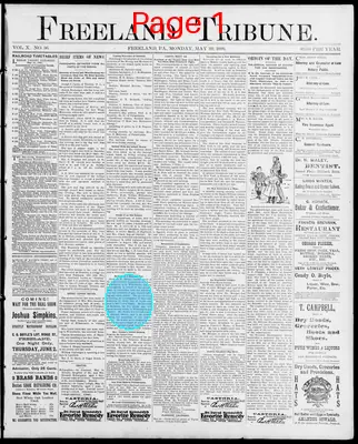 Page thumbnail for Freeland Tribune