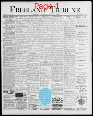 Page thumbnail for Freeland Tribune