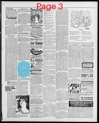 Page thumbnail for Freeland Tribune