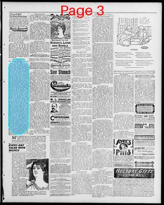 Page thumbnail for Freeland Tribune