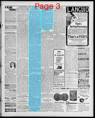 Page thumbnail for Freeland Tribune