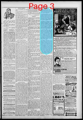 Page thumbnail for Freeland Tribune
