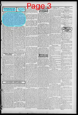 Page thumbnail for Freeland Tribune