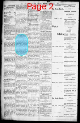 Page thumbnail for The Daily Cairo Bulletin