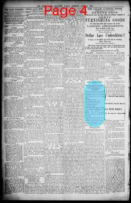Page thumbnail for The Daily Cairo Bulletin