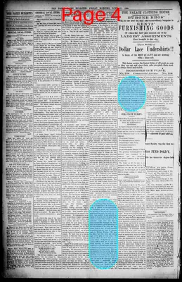 Page thumbnail for The Daily Cairo Bulletin