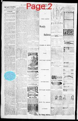 Page thumbnail for The Daily Cairo Bulletin