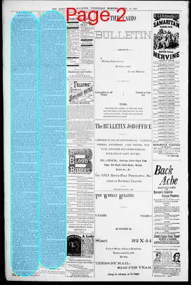 Page thumbnail for The Daily Cairo Bulletin