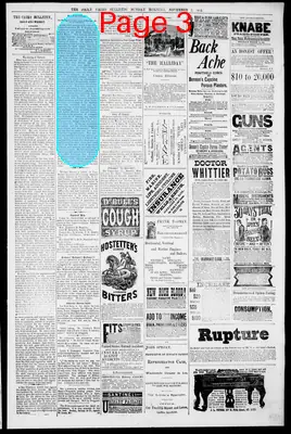 Page thumbnail for The Daily Cairo Bulletin