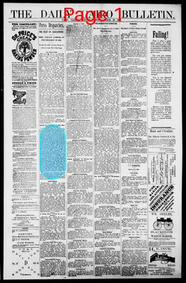 Page thumbnail for The Daily Cairo Bulletin