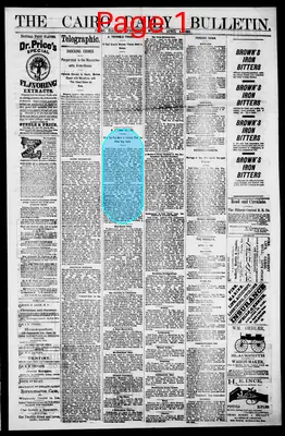 Page thumbnail for The Daily Cairo Bulletin