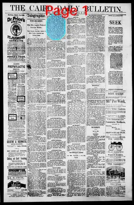 Page thumbnail for The Daily Cairo Bulletin