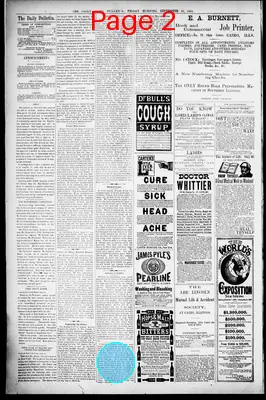 Page thumbnail for The Daily Cairo Bulletin