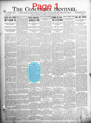 Page thumbnail for The Concordia Sentinel