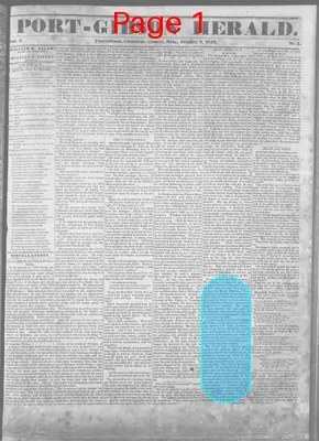 Page thumbnail for Port Gibson Herald