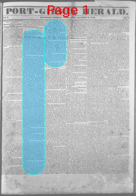 Page thumbnail for Port Gibson Herald
