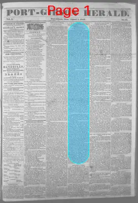 Page thumbnail for Port Gibson Herald
