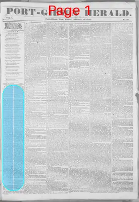 Page thumbnail for Port Gibson Herald