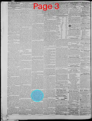 Page thumbnail for The Port Gibson Reveille