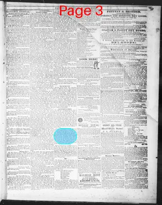 Page thumbnail for Hannibal Journal