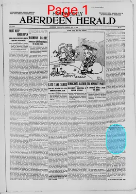 Page thumbnail for Aberdeen Herald