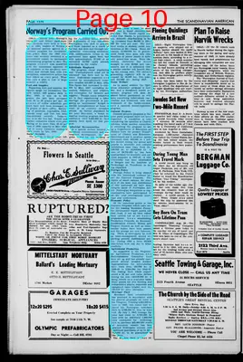 Page thumbnail for Scandinavian American