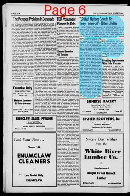 Page thumbnail for Scandinavian American