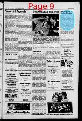 Page thumbnail for Scandinavian American