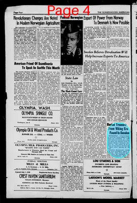 Page thumbnail for Scandinavian American