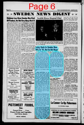 Page thumbnail for Scandinavian American