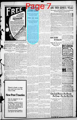 Page thumbnail for The Harrison Times