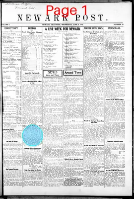 Page thumbnail for Newark Post