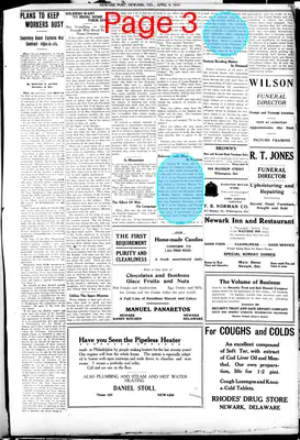 Page thumbnail for Newark Post