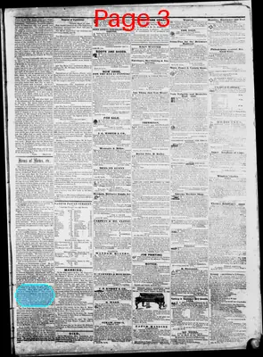 Page thumbnail for The Delaware Herald