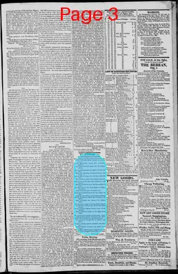 Page thumbnail for The Wilmingtonian, And Delaware Register