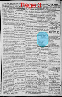 Page thumbnail for The Wilmingtonian, And Delaware Register