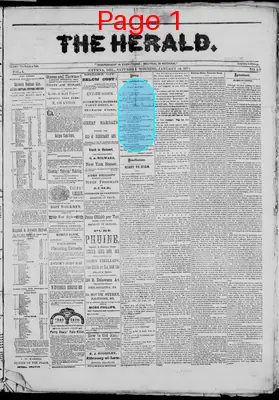 Page thumbnail for The Herald