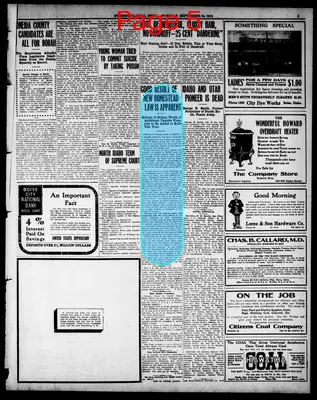 Page thumbnail for Evening Capital News