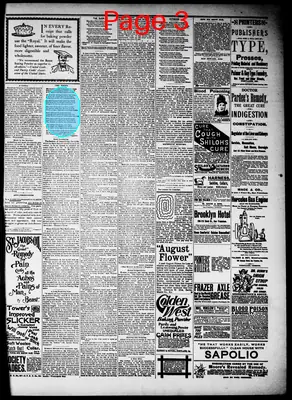 Page thumbnail for The Coeur D'alene Press