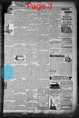 Page thumbnail for Camas Prairie Chronicle