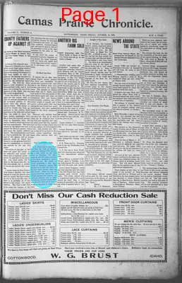 Page thumbnail for Camas Prairie Chronicle