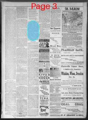 Page thumbnail for Daily Tobacco Leaf Chronicle
