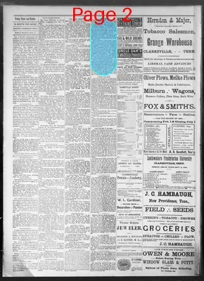 Page thumbnail for Daily Tobacco Leaf Chronicle